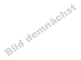 SchülersprecherInnen im Schuljahr 2011/2012